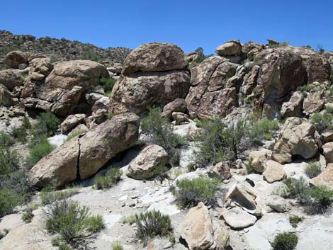 Shooting Gallery Rock Art Site