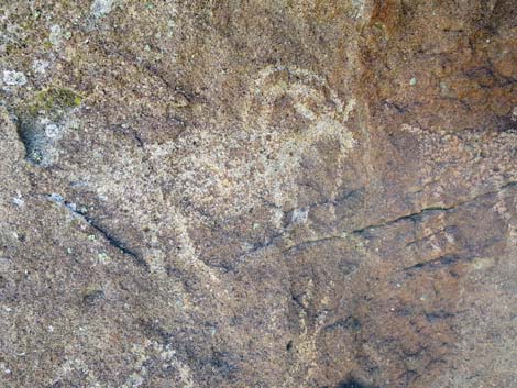 Shooting Gallery Rock Art Site