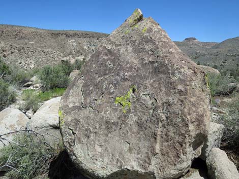 Shooting Gallery Rock Art Site