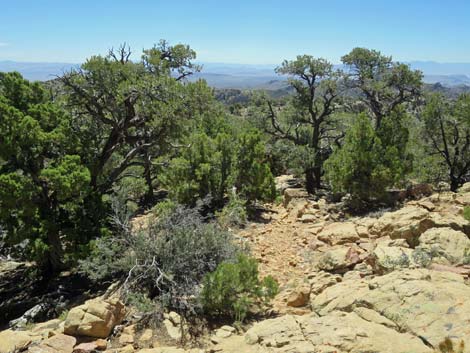 Tikaboo Peak