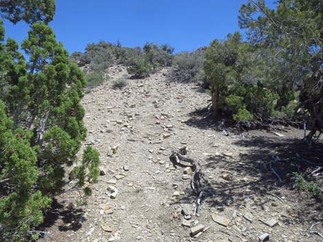 Tikaboo Peak