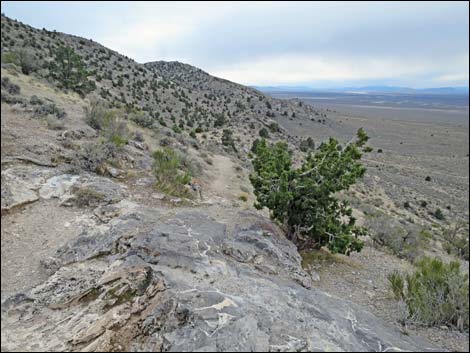 Whipple Cave