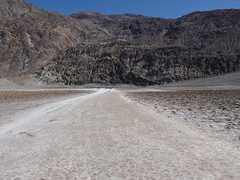 Badwater Salt Flat Trail