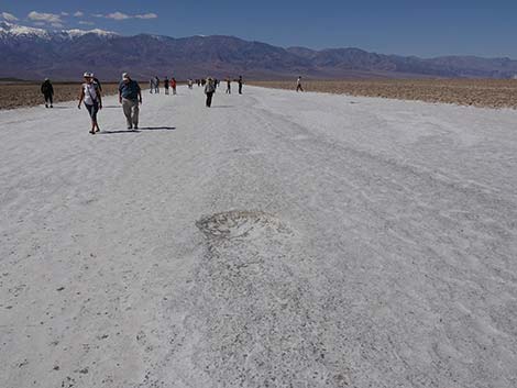 Badwater Salt Flat Trail