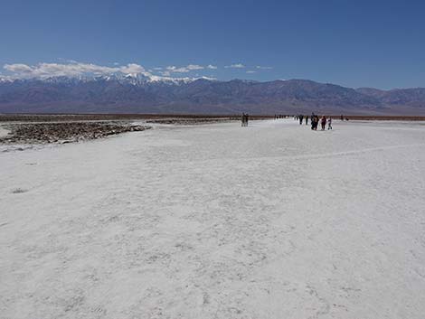 Badwater Salt Flat Trail