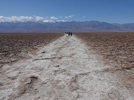 Badwater Salt Flat Trail