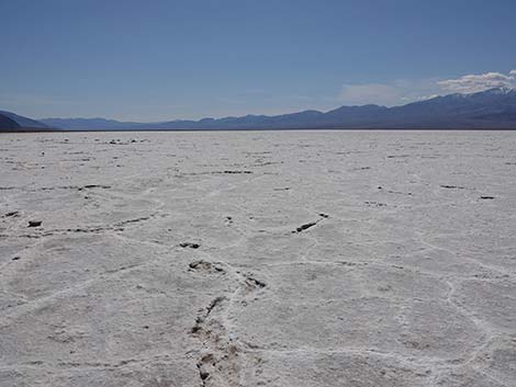Badwater Salt Flat Trail