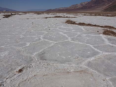 Badwater (view north)