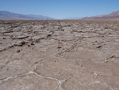 Badwater Salt Flat Trail