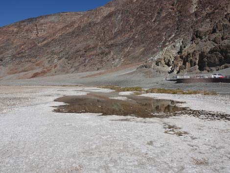 Badwater Salt Flat Trail