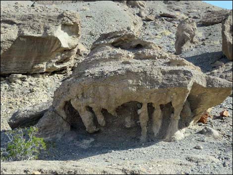 Black Point Canyon