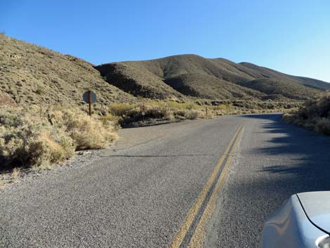 Wildrose Campground