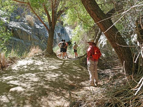 Darwin Falls Trail