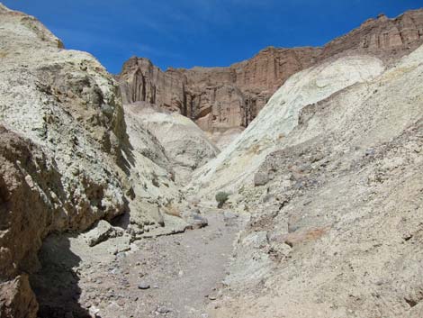 Golden Canyon Trail