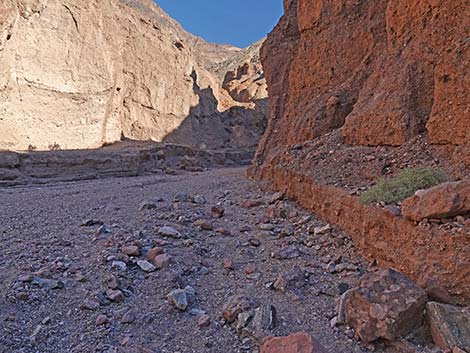 Natural Bridge Canyon