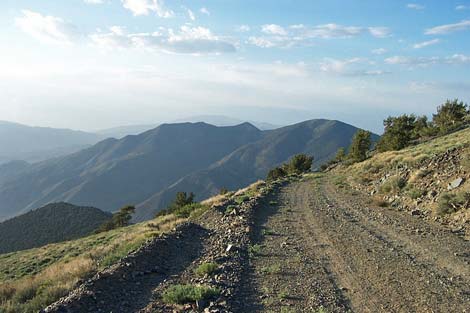 rogers peak