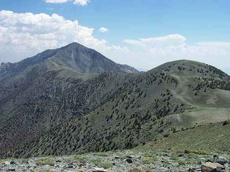 rogers peak