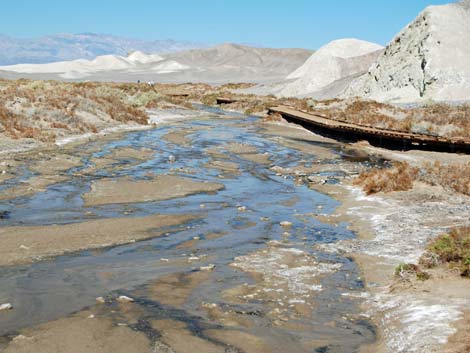 Salt Creek Trail