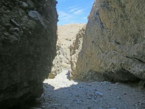 Sidewinder Canyon