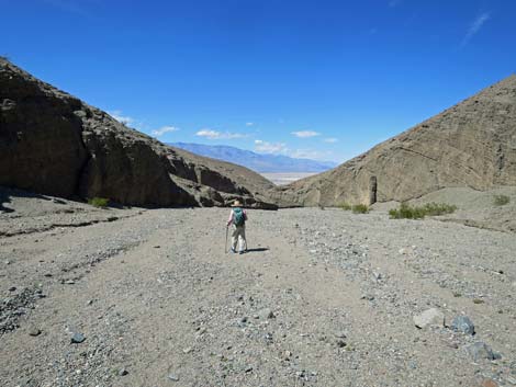 Sidewinder Canyon