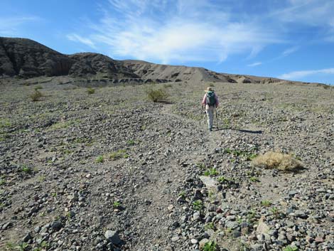 Sidewinder Canyon