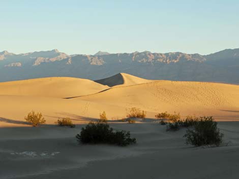 Mesquite Flat Sand Dunes