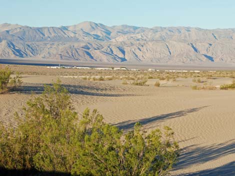 Mesquite Flat Sand Dunes