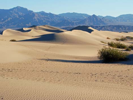 Mesquite Flat Sand Dunes