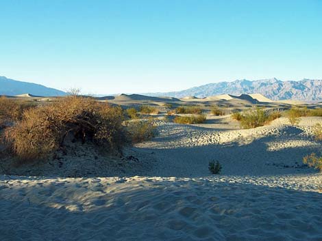 Stovepipe Wells Sand Dunes