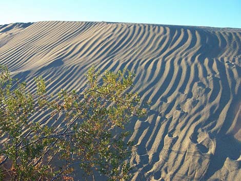 Stovepipe Wells Sand Dunes