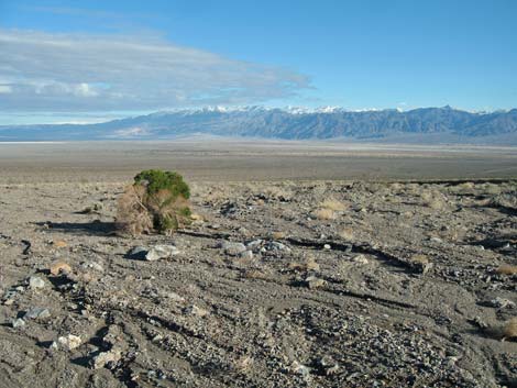 Stretched Pebble Canyon