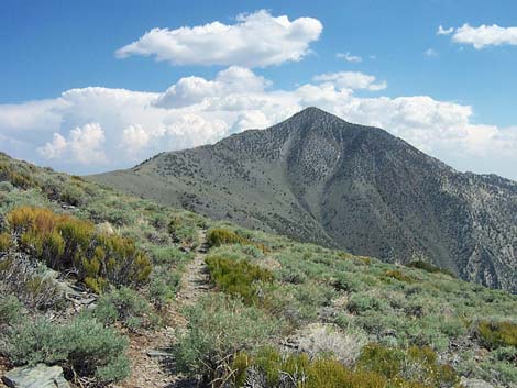 telescope peak