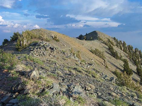 telescope peak