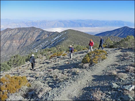 Wildrose Peak