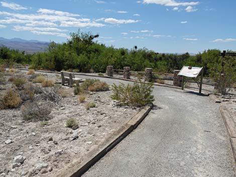 Bighorn Trail