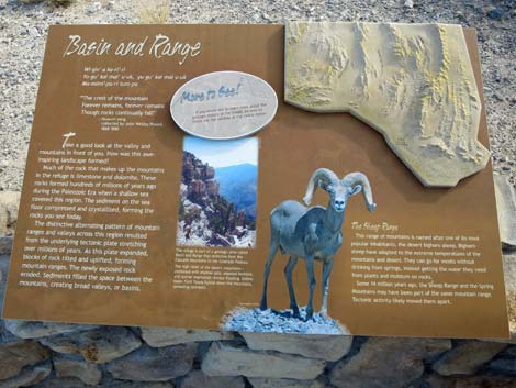 Bighorn Trail