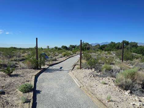 Bighorn Trail