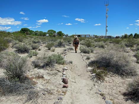 Birdsong Trail