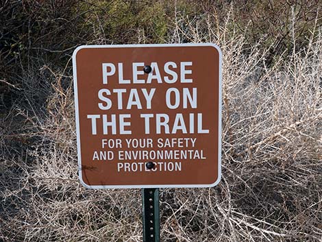 Birdsong Trail 