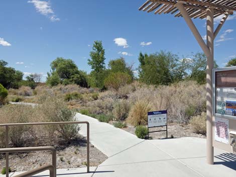 Jackrabbit Loop Trail