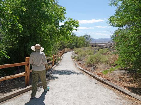 Coyote Trail