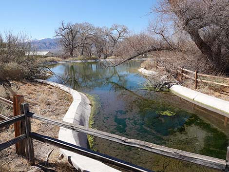 Jackrabbit Loop Trail