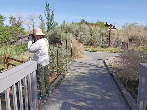 Coyote Trail