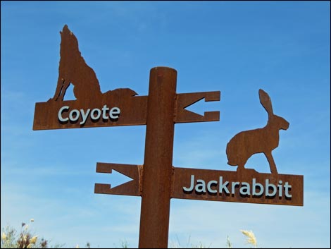 Coyote Trail