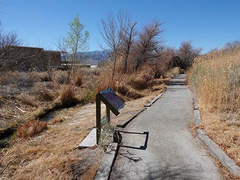 Jackrabbit Loop Trail