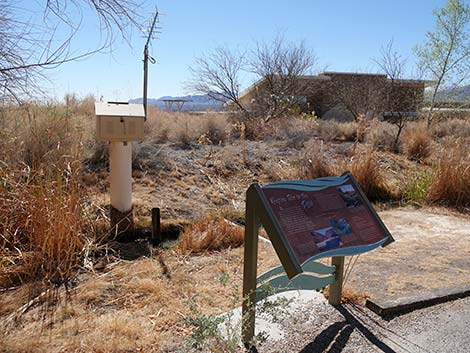 Jackrabbit Loop Trail