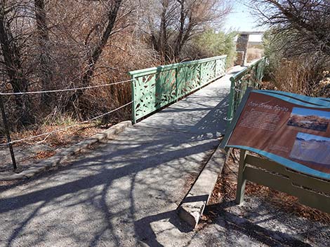 Jackrabbit Loop Trail