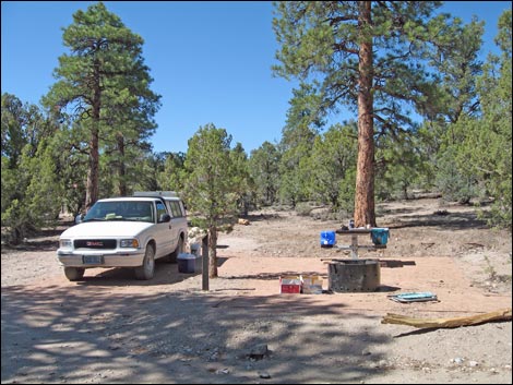 Mormon Pass Campground