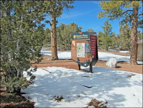 Mormon Pass Campground