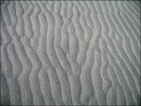 Desert Dry Lake Dunes North